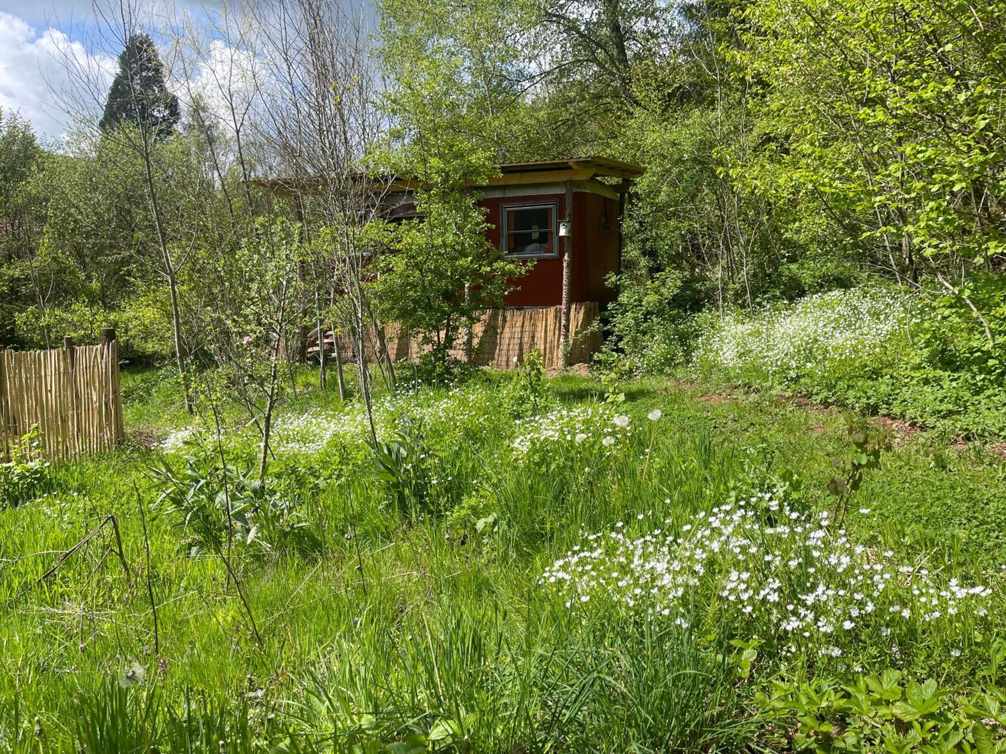 Kuscheliger Zirkuswagen Im Wildgarten Witzenhausen Exterior foto